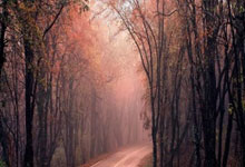 梅西对阵墨西哥的进球有多关键？