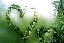 克罗地亚vs巴西的比赛有哪些精彩回放瞬间？