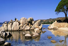 中国女排最新积分榜情况如何？各队排名有哪些变化？